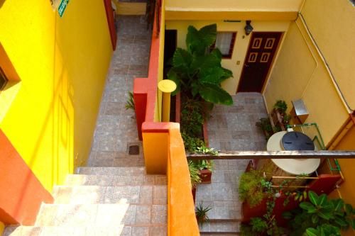 Outdoor Pictures 22