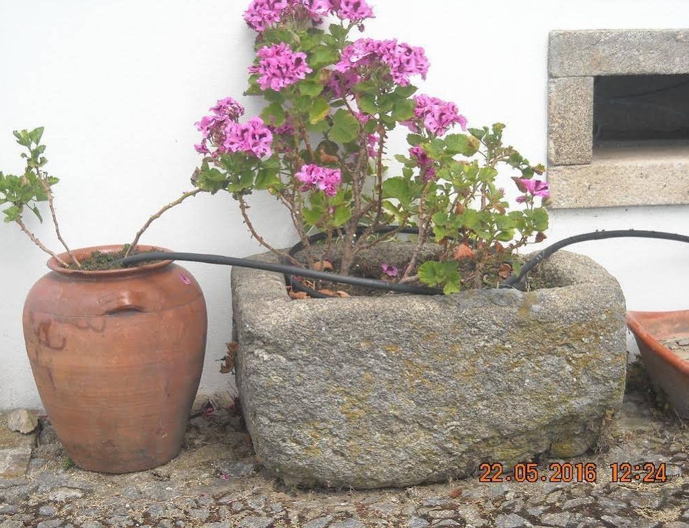 Outdoor Pictures 15