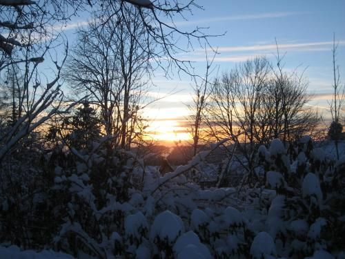Outdoor Pictures 3