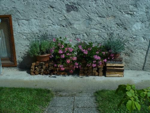 Outdoor Pictures 13