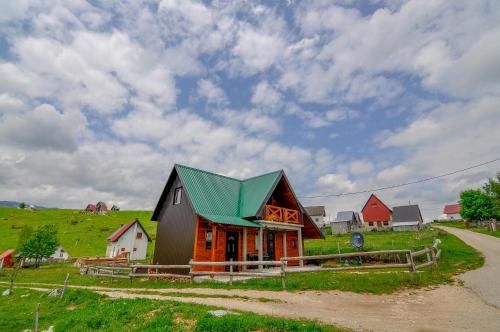 Outdoor Pictures 24