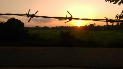Outdoor Pictures 22