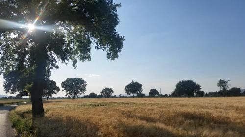 Outdoor Pictures 15