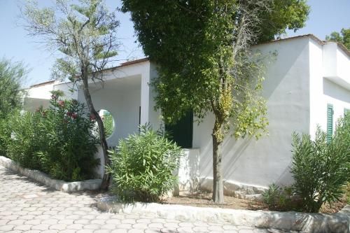 Outdoor Pictures 1