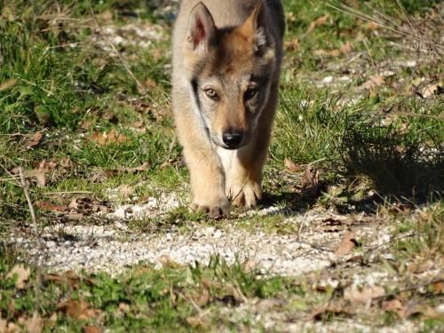 Outdoor Pictures 11