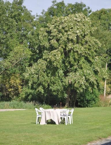 Outdoor Pictures 23