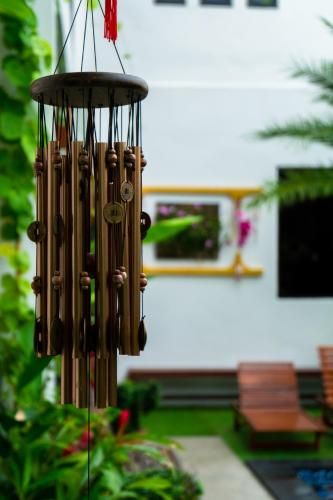 Outdoor Pictures 23