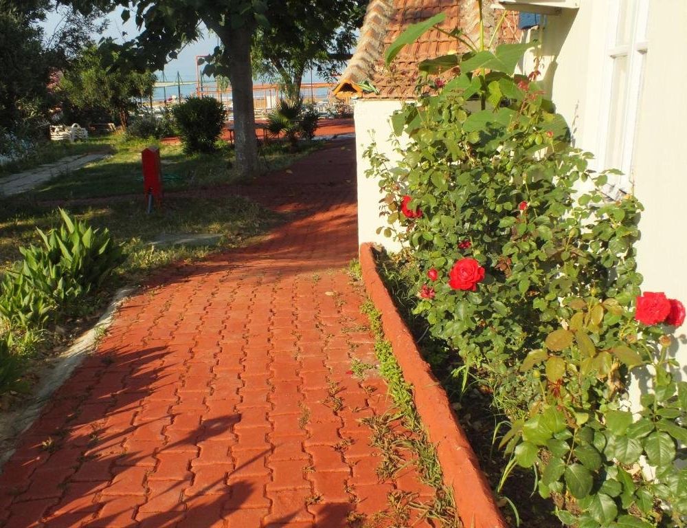 Outdoor Pictures 17