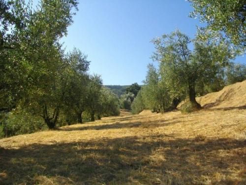 Outdoor Pictures 18