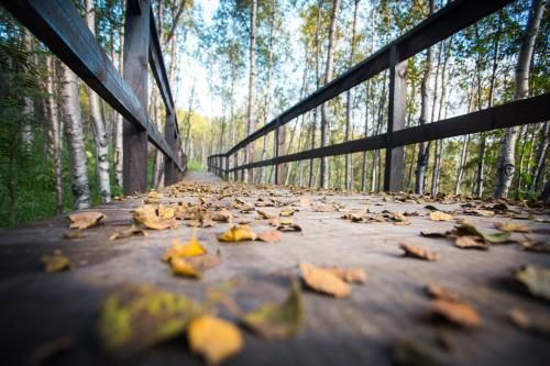 Outdoor Pictures 21