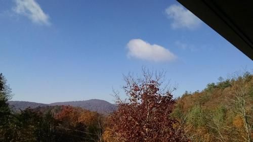 Outdoor Pictures 18