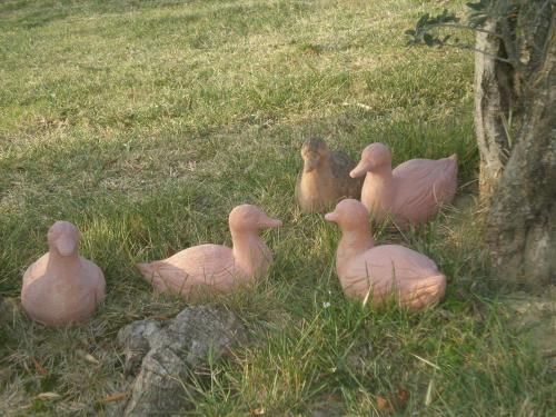 Outdoor Pictures 17