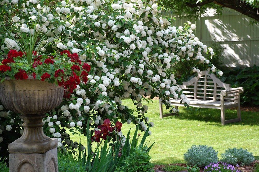 Outdoor Pictures 9