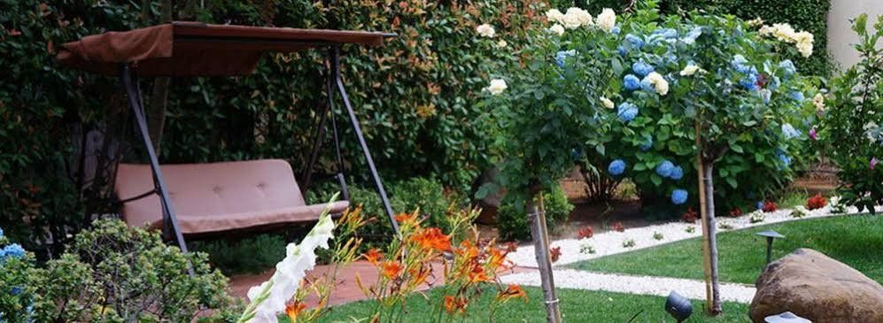 Outdoor Pictures 1