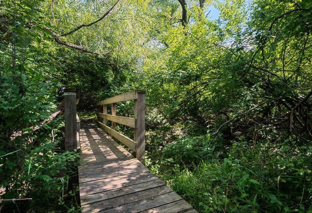 Outdoor Pictures 21
