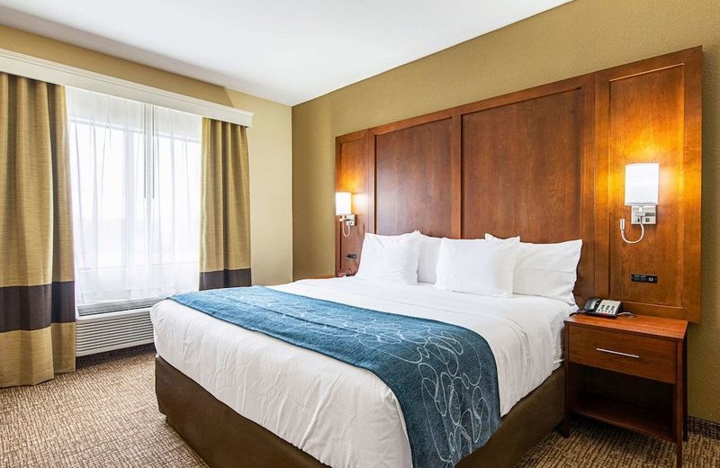 Comfort Inn & Suites Pine Bluff