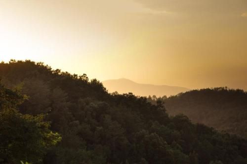 Outdoor Pictures 19