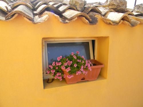 Outdoor Pictures 8