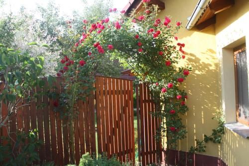 Outdoor Pictures 22