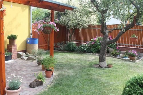 Outdoor Pictures 23
