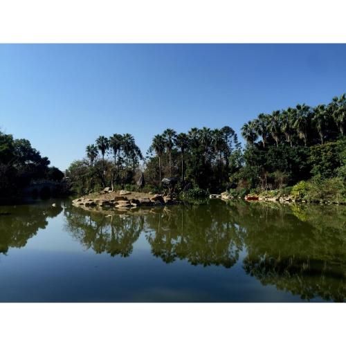 Outdoor Pictures 21
