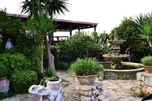 Outdoor Pictures 22