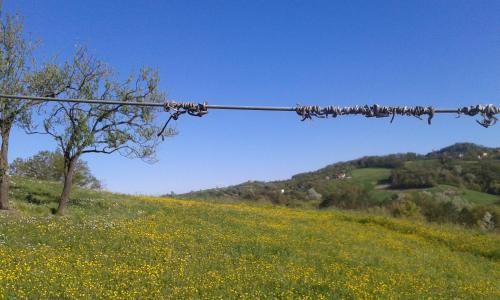 Outdoor Pictures 21