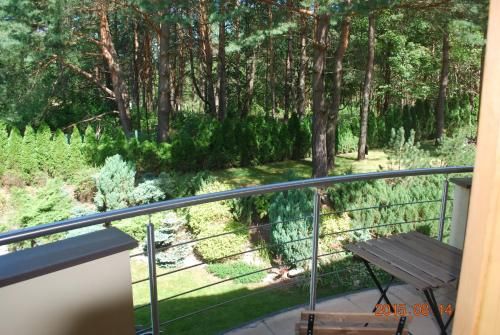 Outdoor Pictures 11