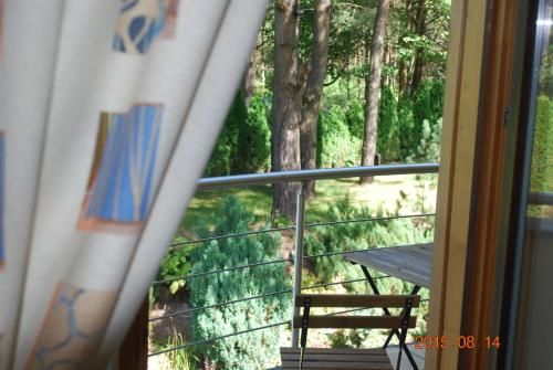 Outdoor Pictures 10