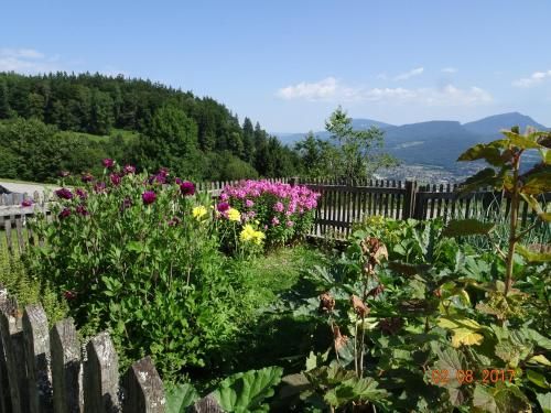 Outdoor Pictures 9