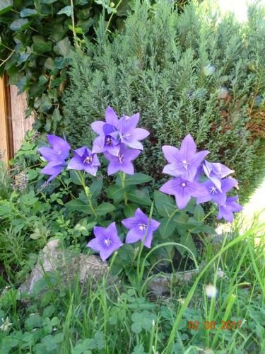 Outdoor Pictures 10