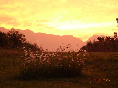 Outdoor Pictures 14