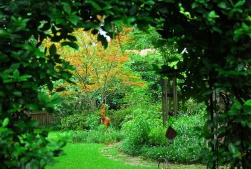 Outdoor Pictures 19