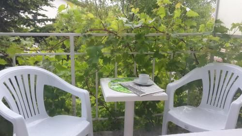 Outdoor Pictures 24