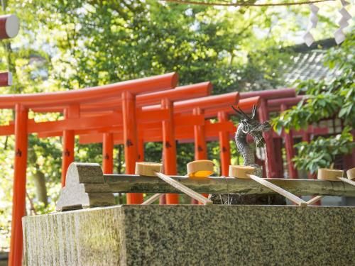 Outdoor Pictures 20