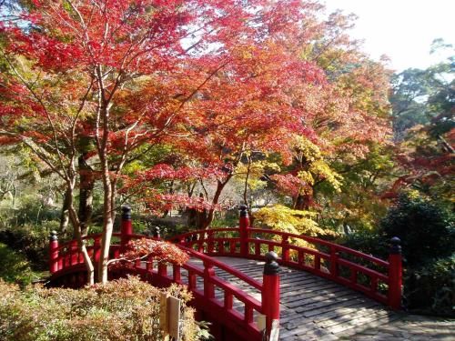 Outdoor Pictures 21