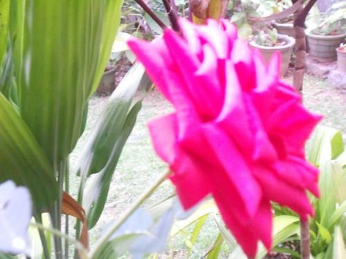 Outdoor Pictures 20