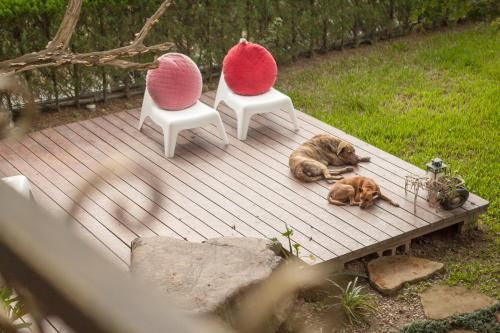 Outdoor Pictures 22