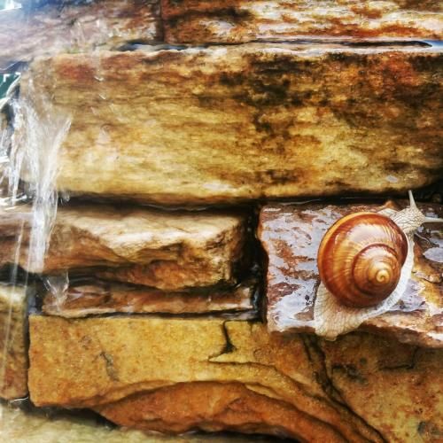 Outdoor Pictures 19