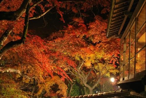 Outdoor Pictures 21