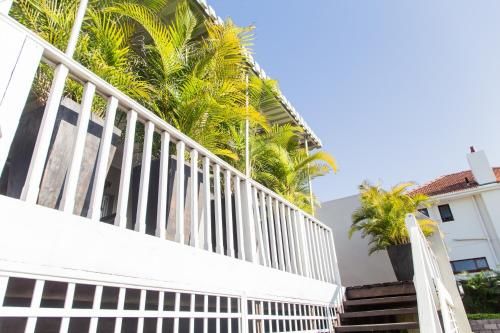 Outdoor Pictures 24