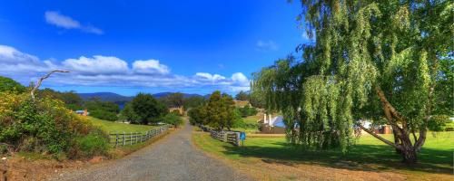 Outdoor Pictures 20