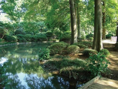 Outdoor Pictures 19
