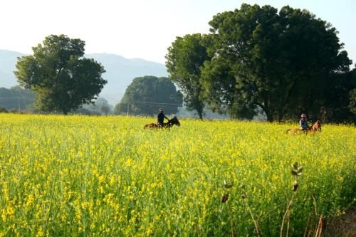 Outdoor Pictures 20