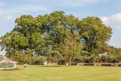 Outdoor Pictures 20