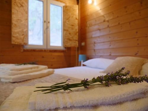 Camping Fiori di Noto