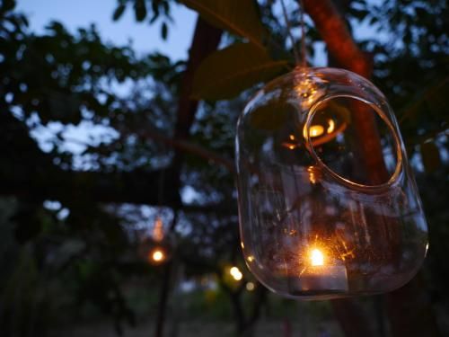 Outdoor Pictures 21