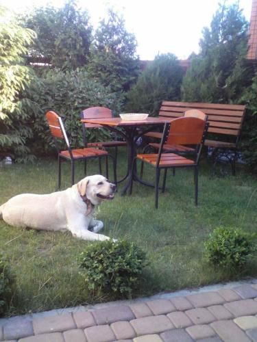 Guest House on Varshavka