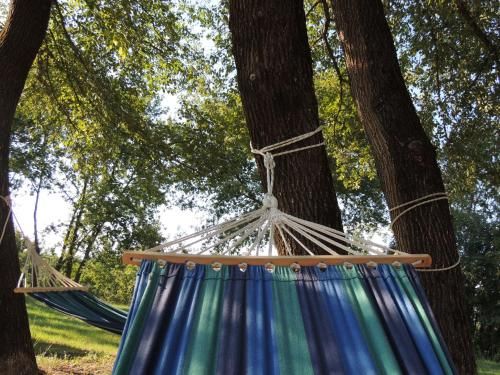 Outdoor Pictures 15