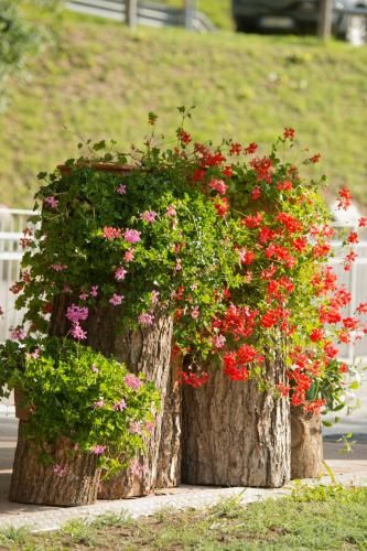 Outdoor Pictures 14